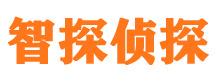 九寨沟市婚外情调查